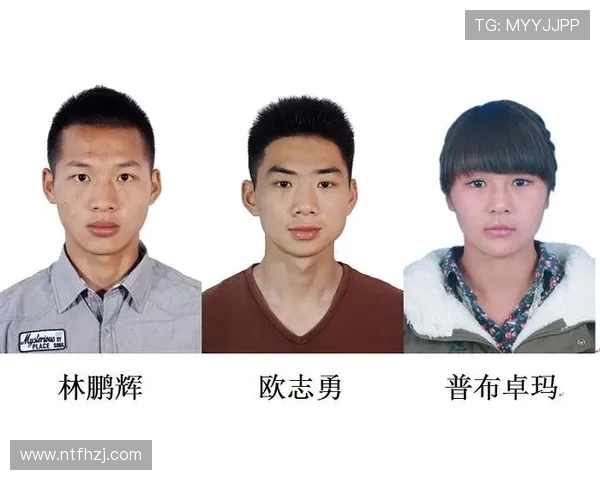 深圳攀岩队与上海攀岩队赛后战术分析与总结探讨