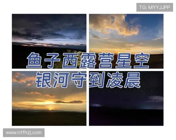 深度对话:刘娜在英雄联盟世界中的成长与挑战之旅 深度对话:刘娜在英雄联盟世界中的成长与挑战之旅