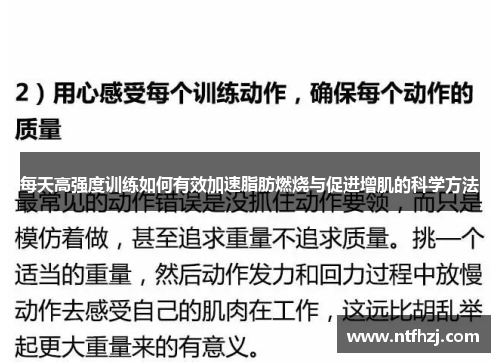 每天高强度训练如何有效加速脂肪燃烧与促进增肌的科学方法